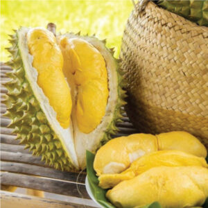 Sầu-riêng-ri6