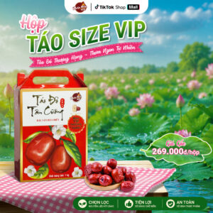 tao-do-tan-cuong